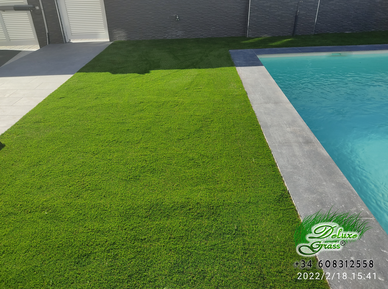 nr61-cesped-artificial-jardin-premium-deluxe-grass-img_20220218_154143-a-22-va-40-42-mm